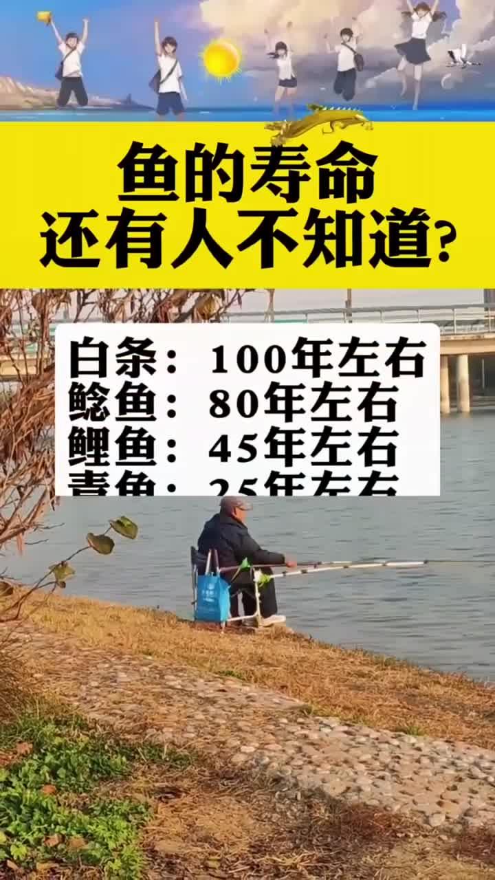 常见鱼类的寿命 (1)
