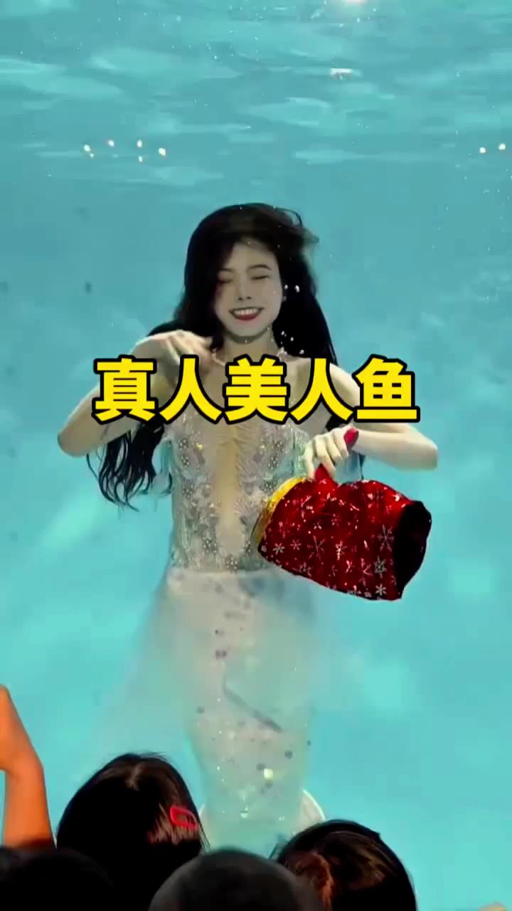 这美人鱼真是太可爱了