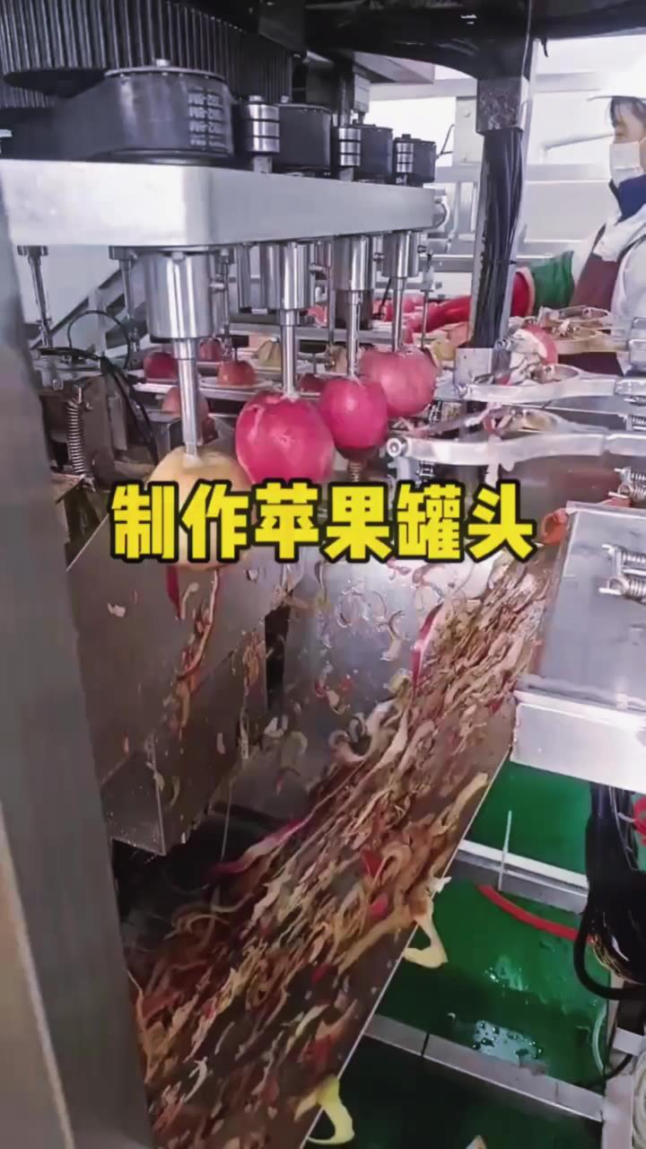 原来这就是制作苹果罐头啊