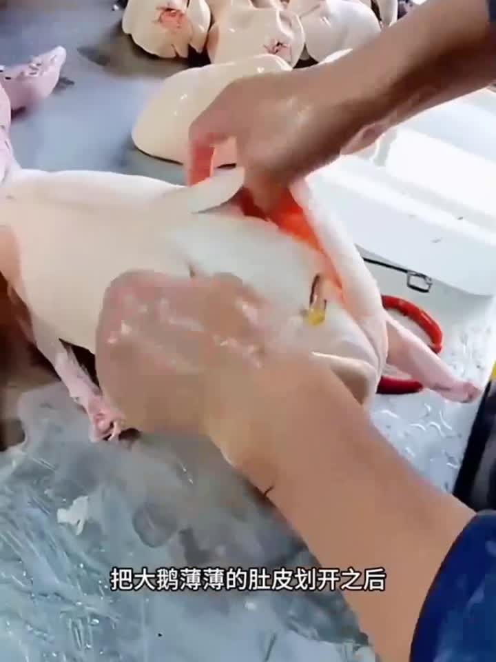 大鹅取鹅肝，鹅肝太大了