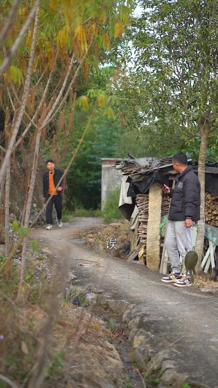 老鳖猪肚鸡,在我们闽南这边绝对是称上汤中的极品了,在以前连过年都吃不上一次