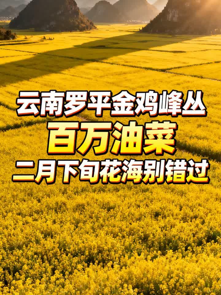 云南罗平金鸡峰丛，百万油菜，二月下旬花海别错过