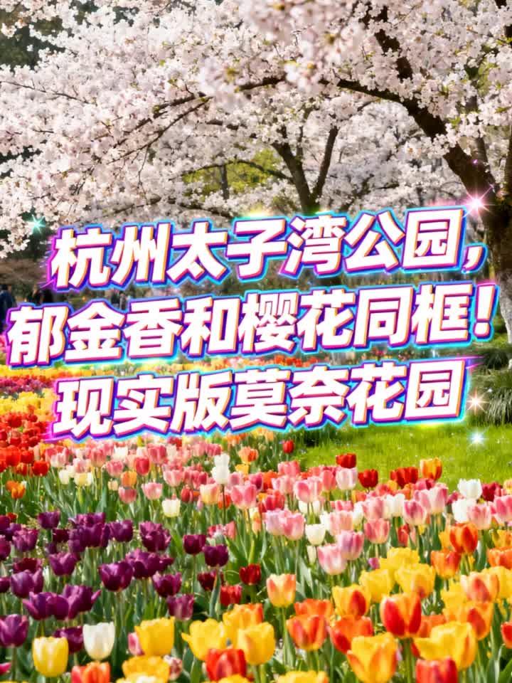 杭州太子湾公园,郁金香和樱花同框!现实版莫奈花园