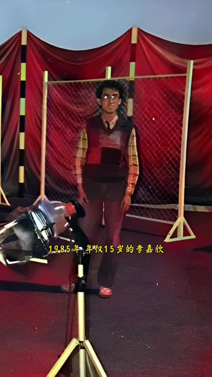 从广告新星到香港小姐冠军:李嘉欣的璀璨之路