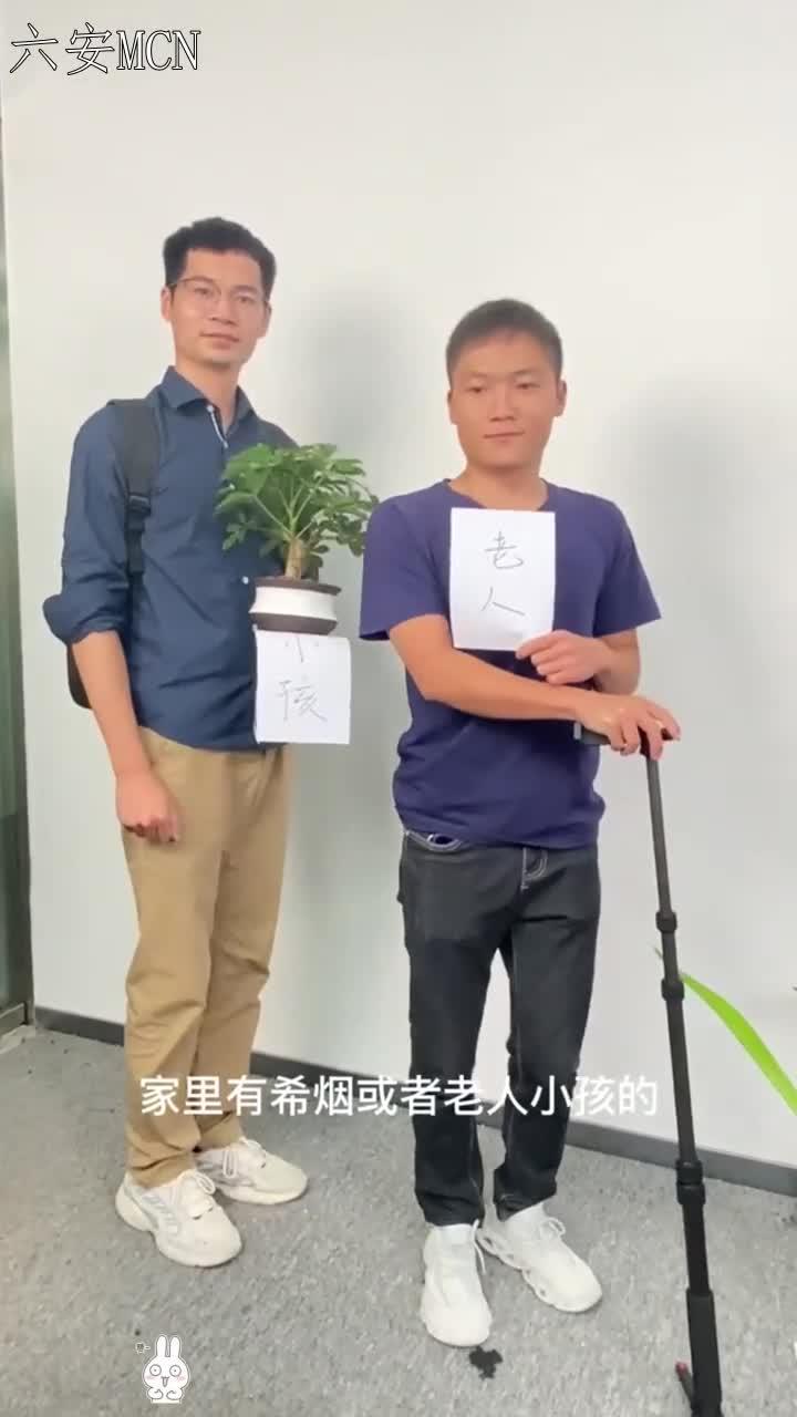 也叫鹅掌,柴