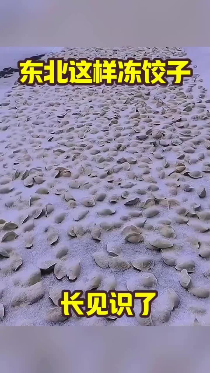 东北这样冻饺子,长见识了