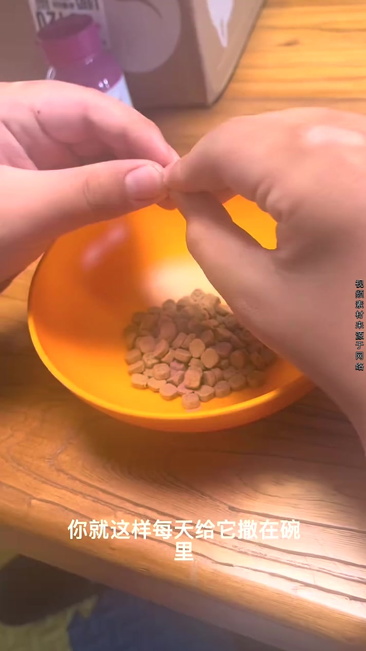 日常养护真的很重要,不要拖到最后,再后悔宠物