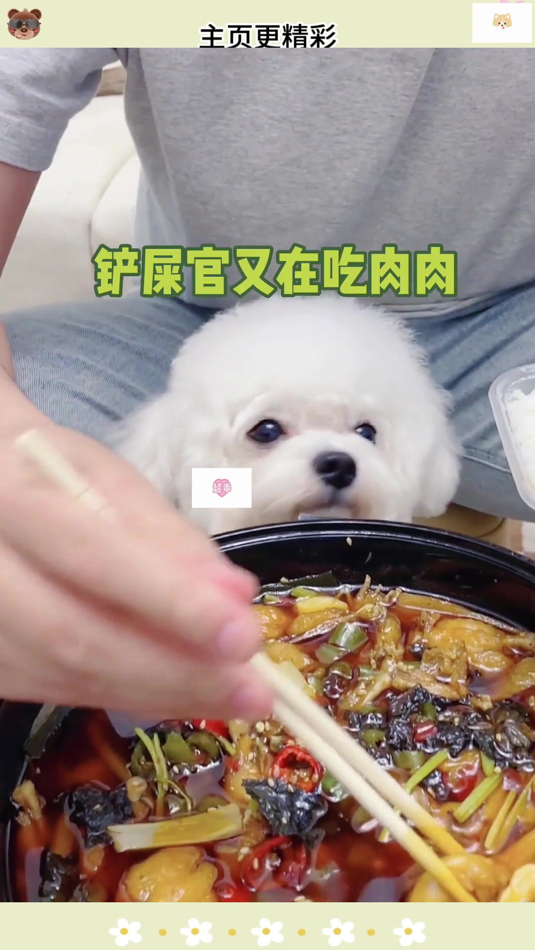想要吃肉肉的小狗有多可爱?宠物趣味生活
