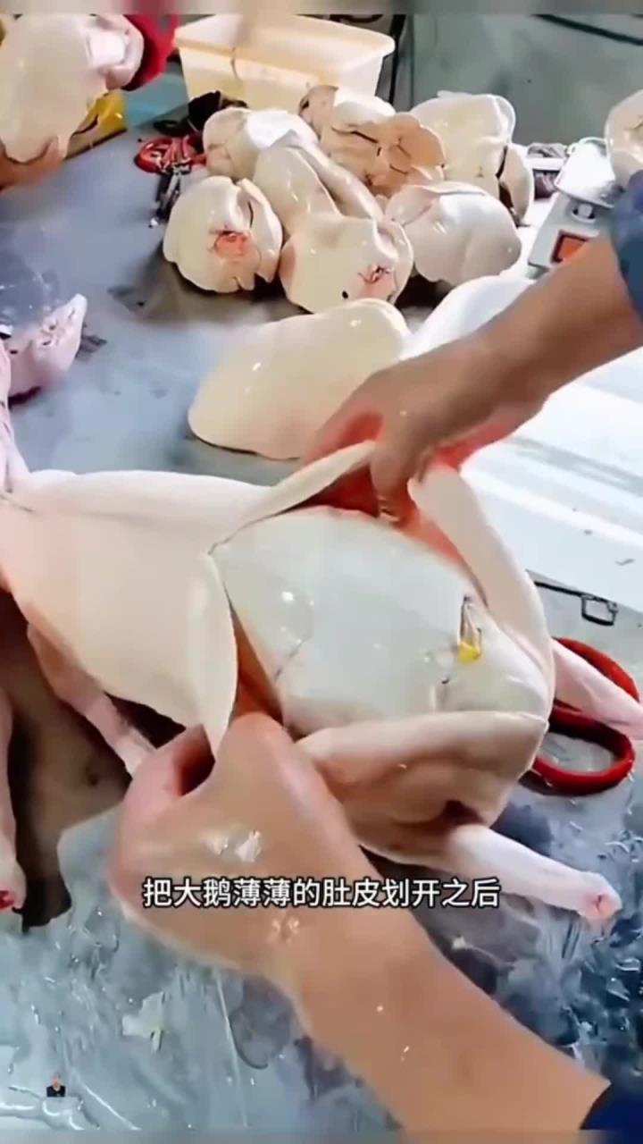 大鹅取鹅肝,鹅肝太大了:专业