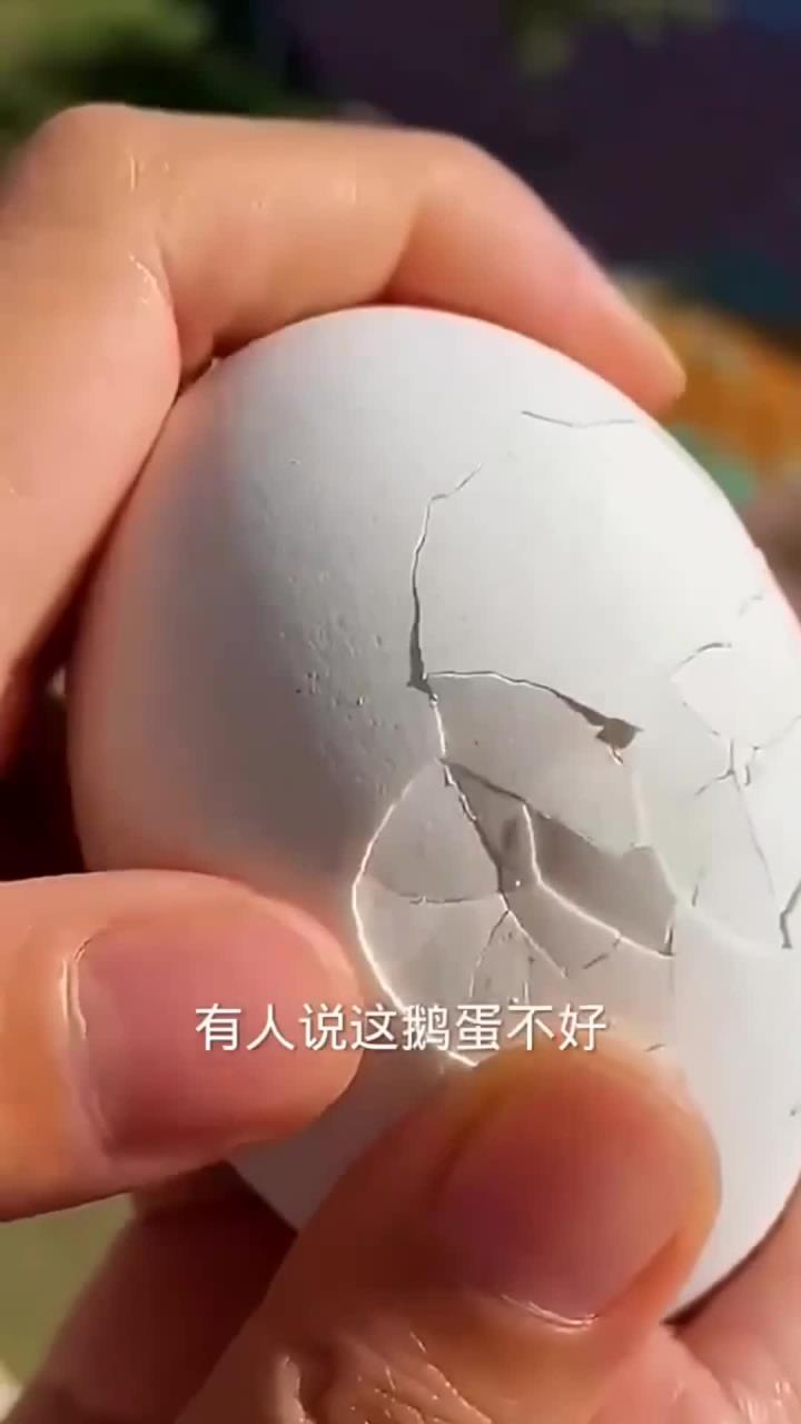 这个鹅蛋黄挺漂亮的