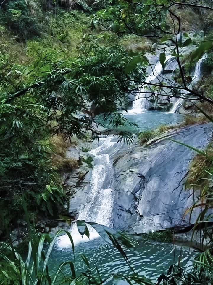 浙江有个丽水，丽水有个青田，青田有个田鱼村