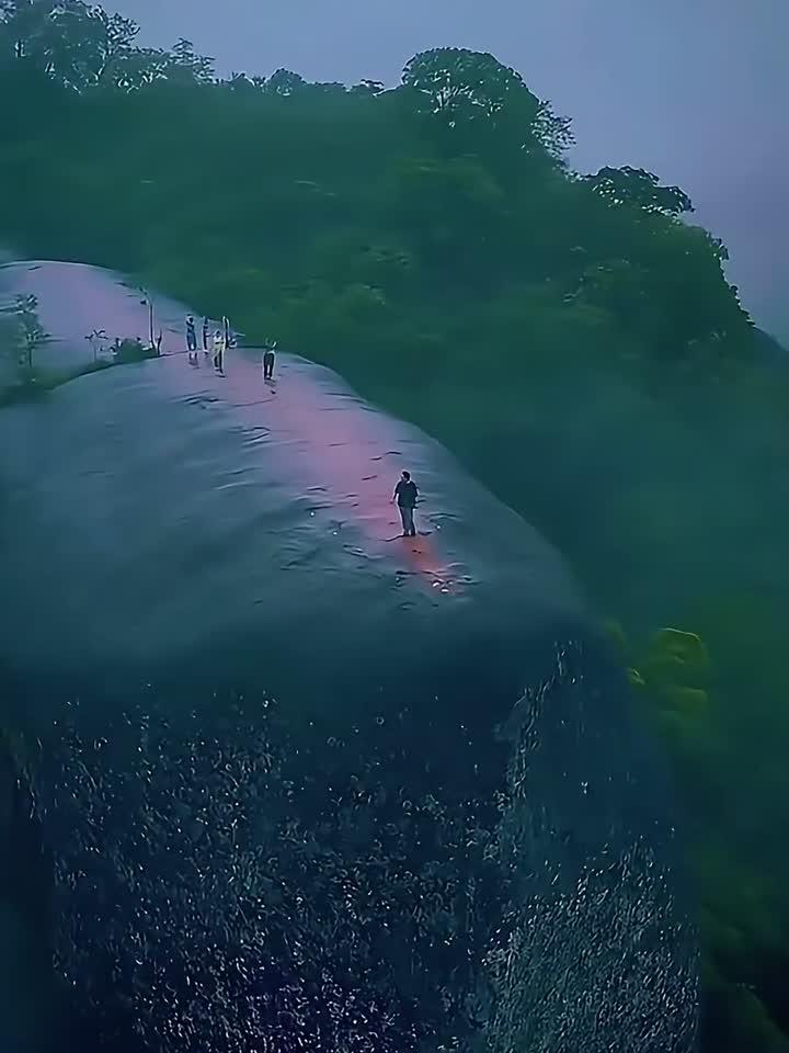 三头巨鲸化身岩石,泰国雨林永恒洄游