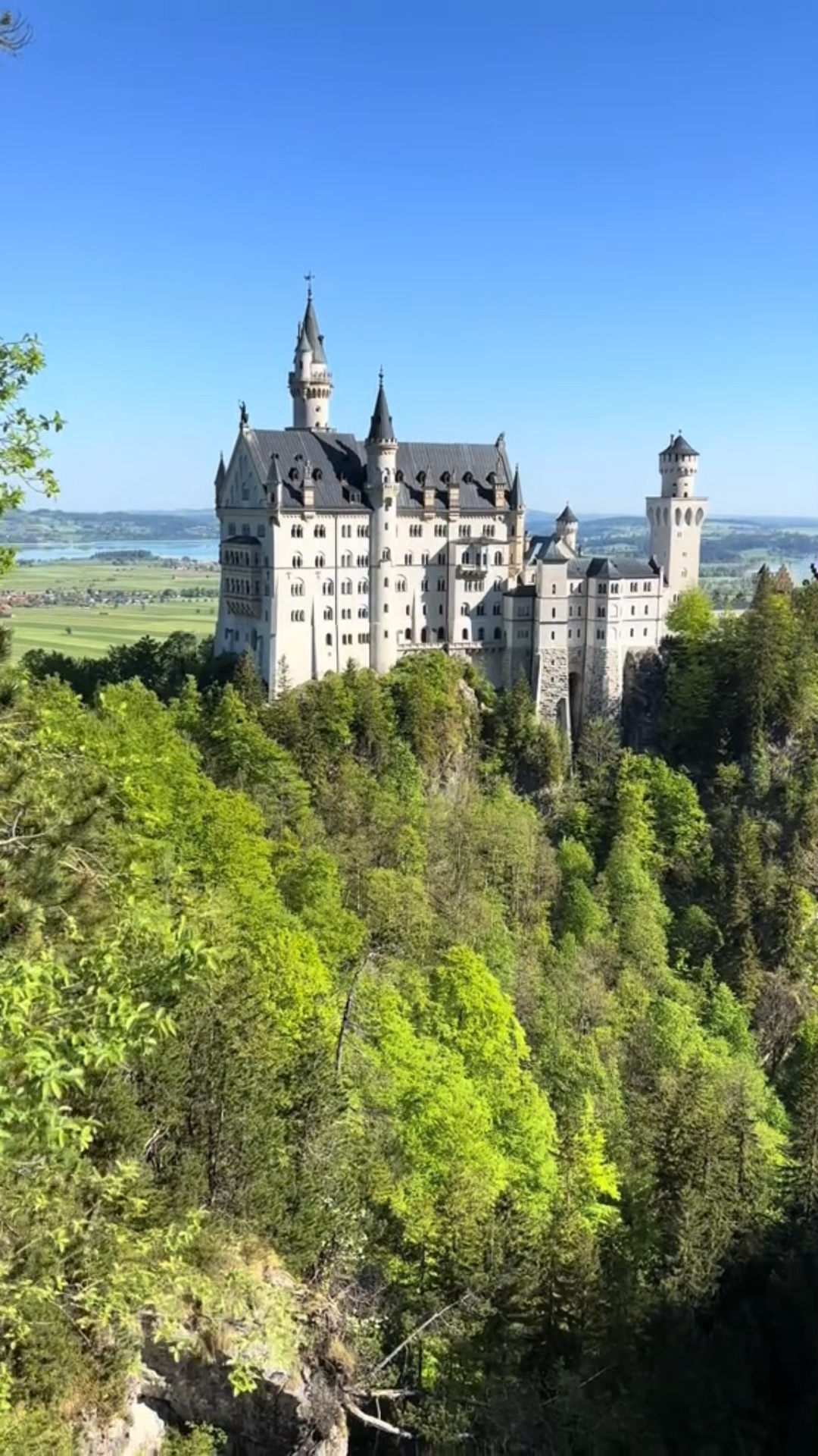 矗立于巴伐利亚群山之间的新天鹅堡,宛如童话中的梦境#新天鹅堡