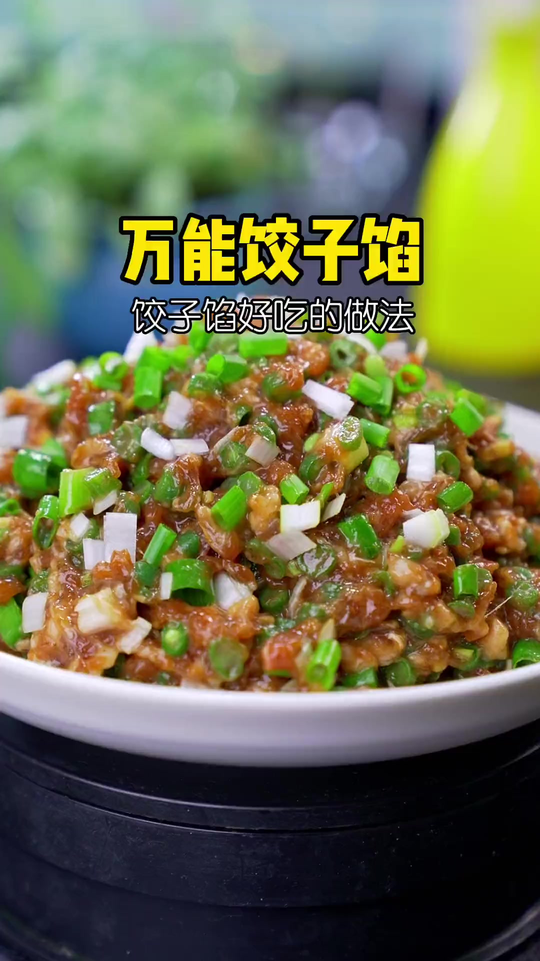 肉馅调制教程 适合做个各种口味饺子 馅饼 包子 馄饨 锅贴