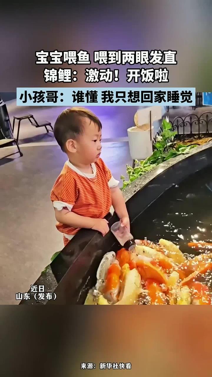宝宝喂鱼 喂到两眼发直,锦鲤:开饭啦,小孩哥:我只想回家睡觉