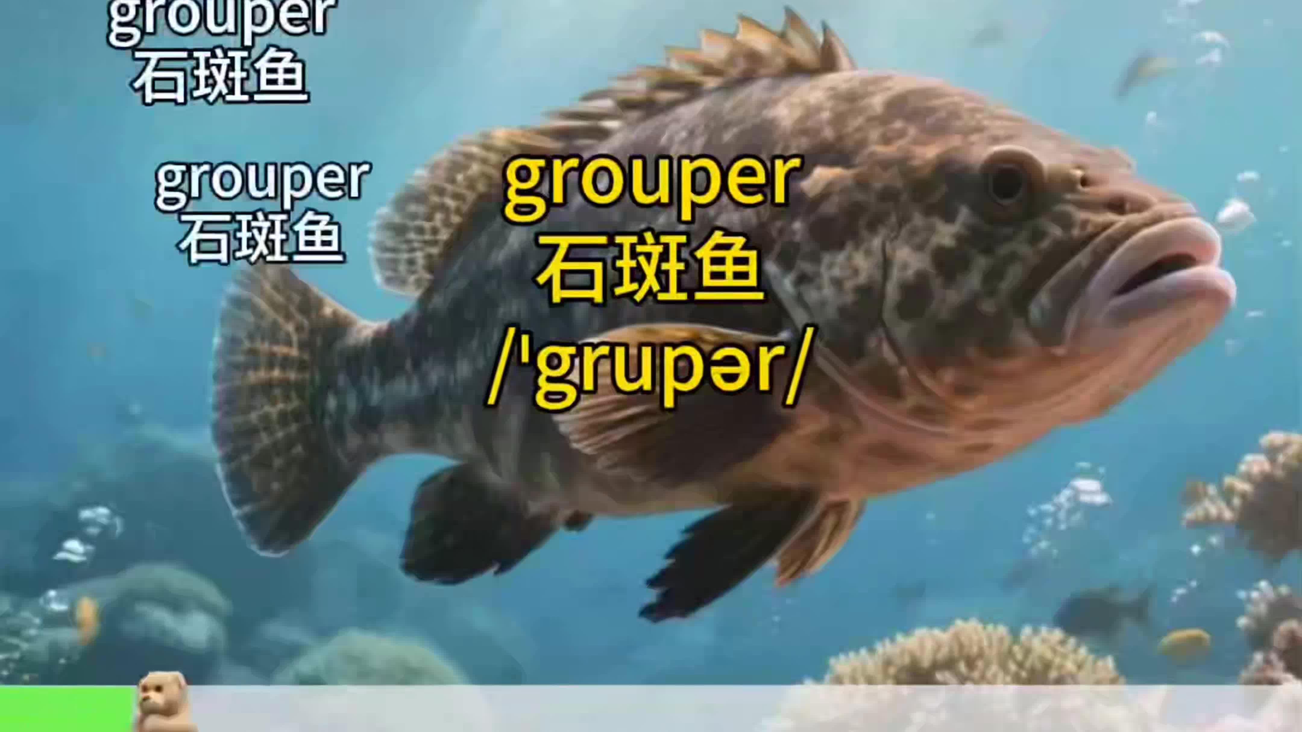跟着“石斑鱼”学英语,挑战十秒记一个单词!评论区默写