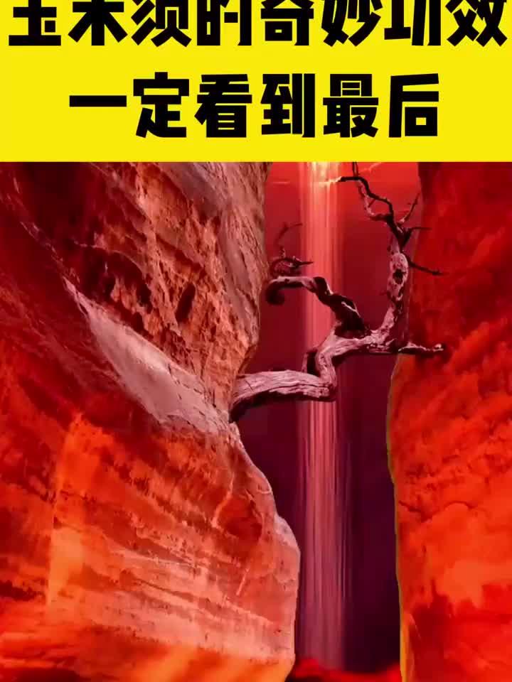 玉米须竟有这些神奇作用，最后一个你肯定想不到！