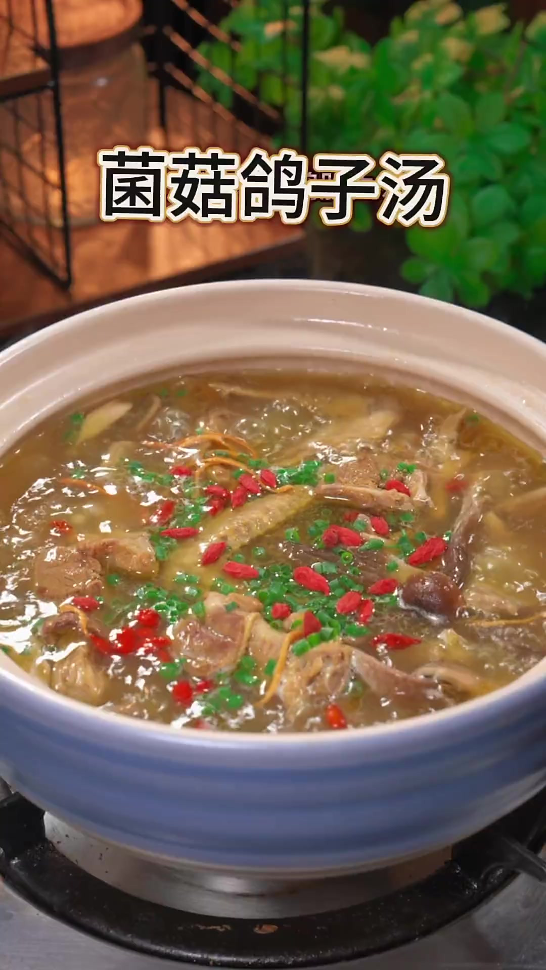 炖鸽子汤的详细做法