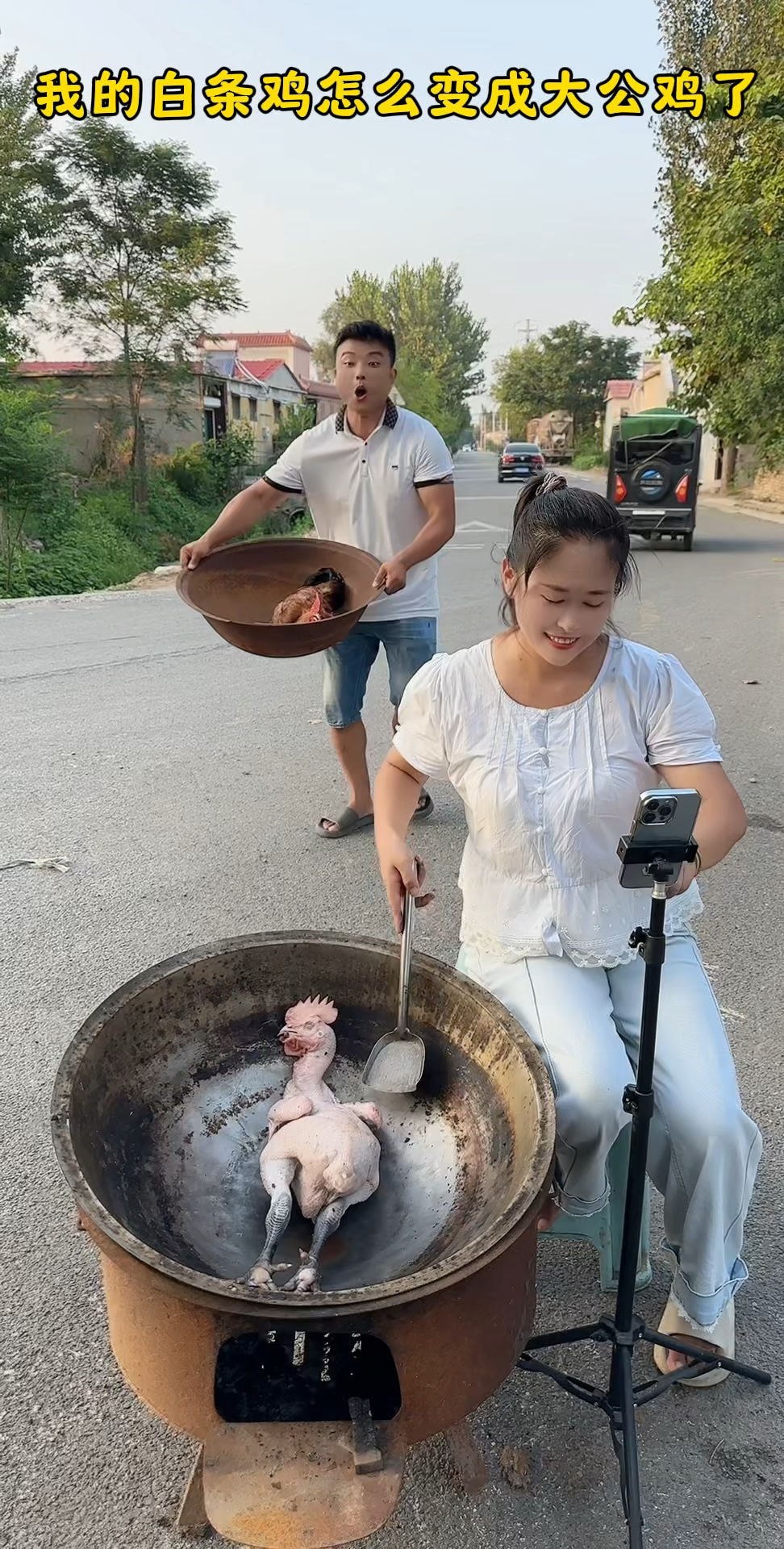我的白条鸡怎么变成大公鸡了