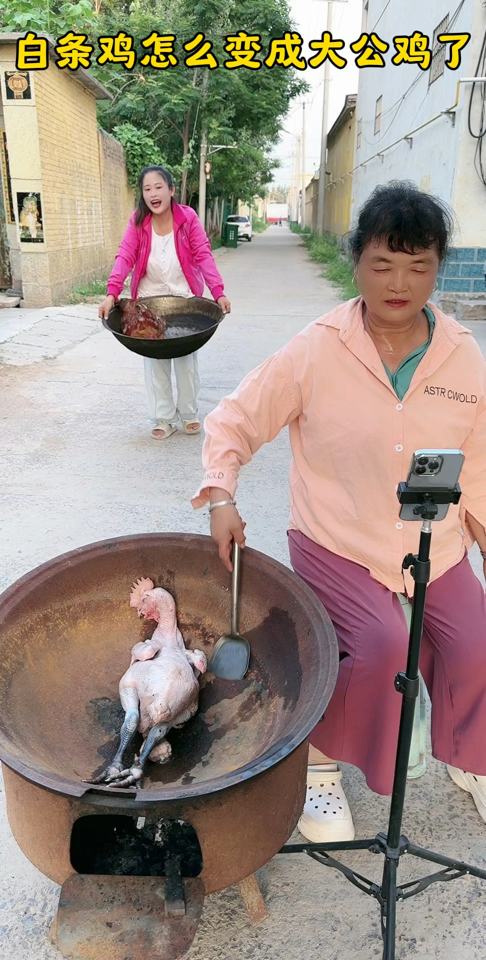 我的白条鸡怎么变成大公鸡了