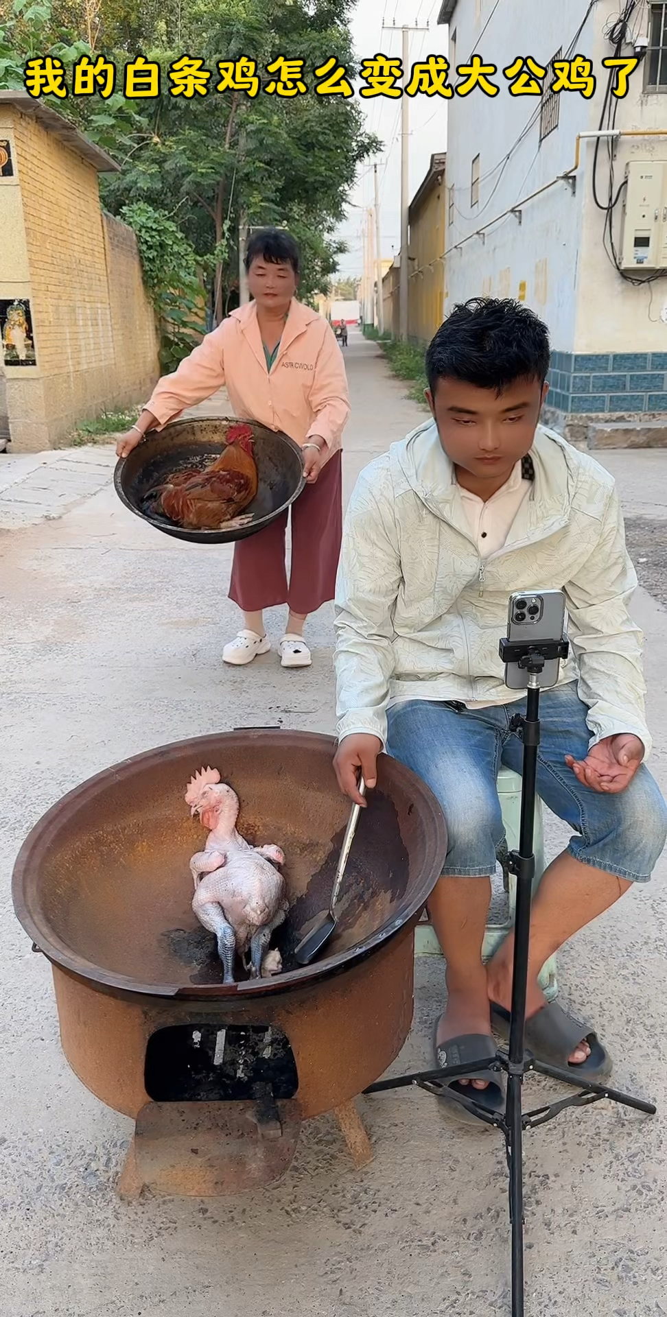 白条鸡怎么变成大公鸡了