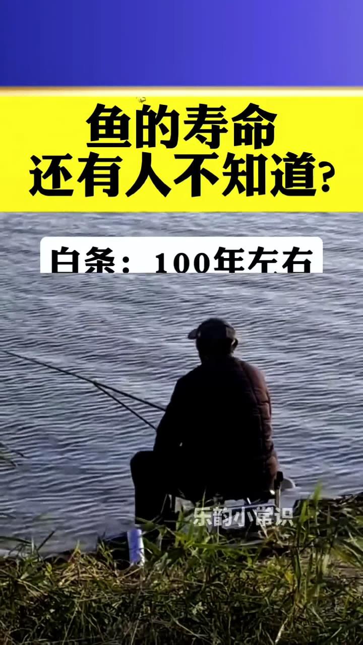 鱼的寿命,还有人不知道吗