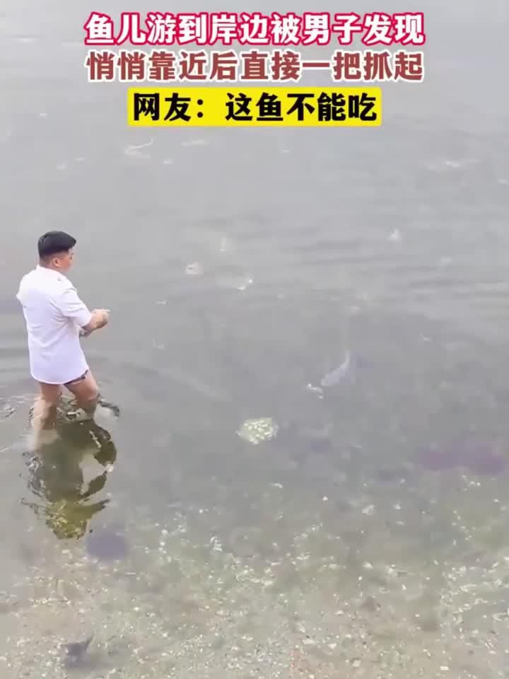 鱼儿游到岸边被男子发现,悄悄靠近后直接一把抓起
