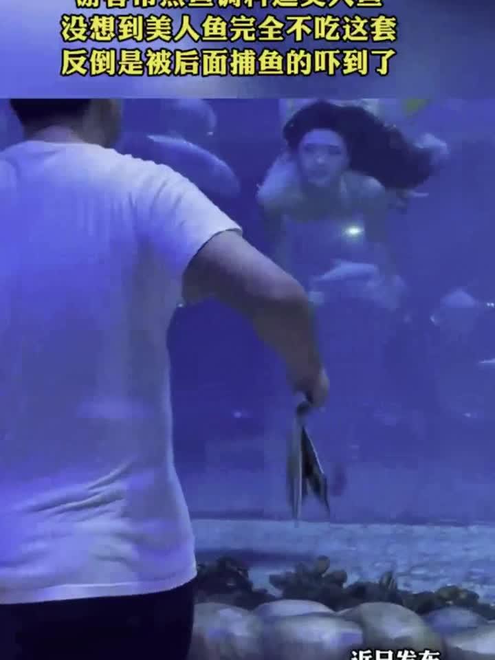 游客带煮鱼调料逗美人鱼,没想到竟不吃这套,结果被后面捕鱼的吓