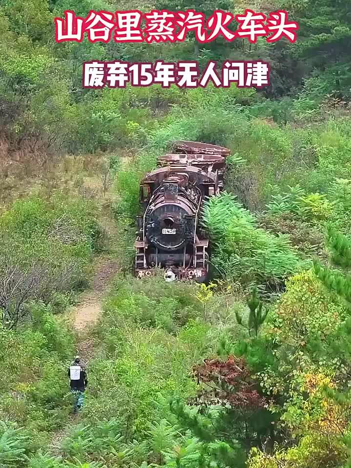 大山废弃蒸汽火车头，当初他横穿市区，也是见过大世面的