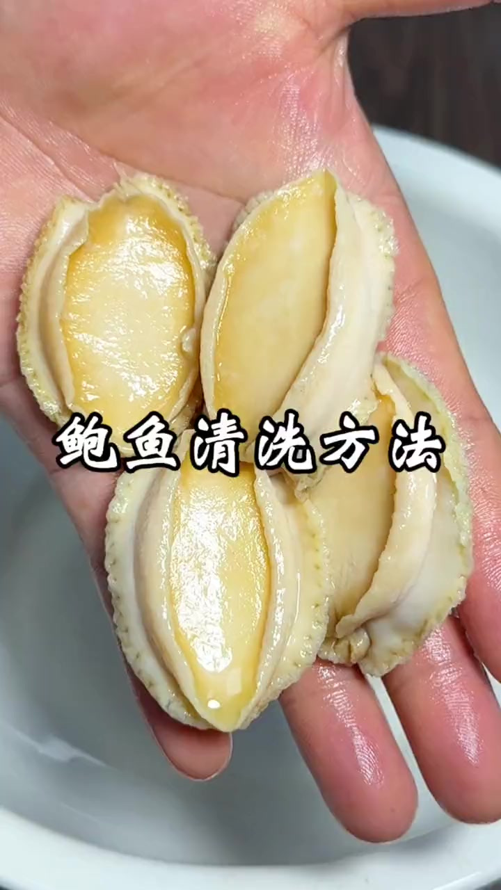 鲍鱼买回来如何清洗,看下我的方法