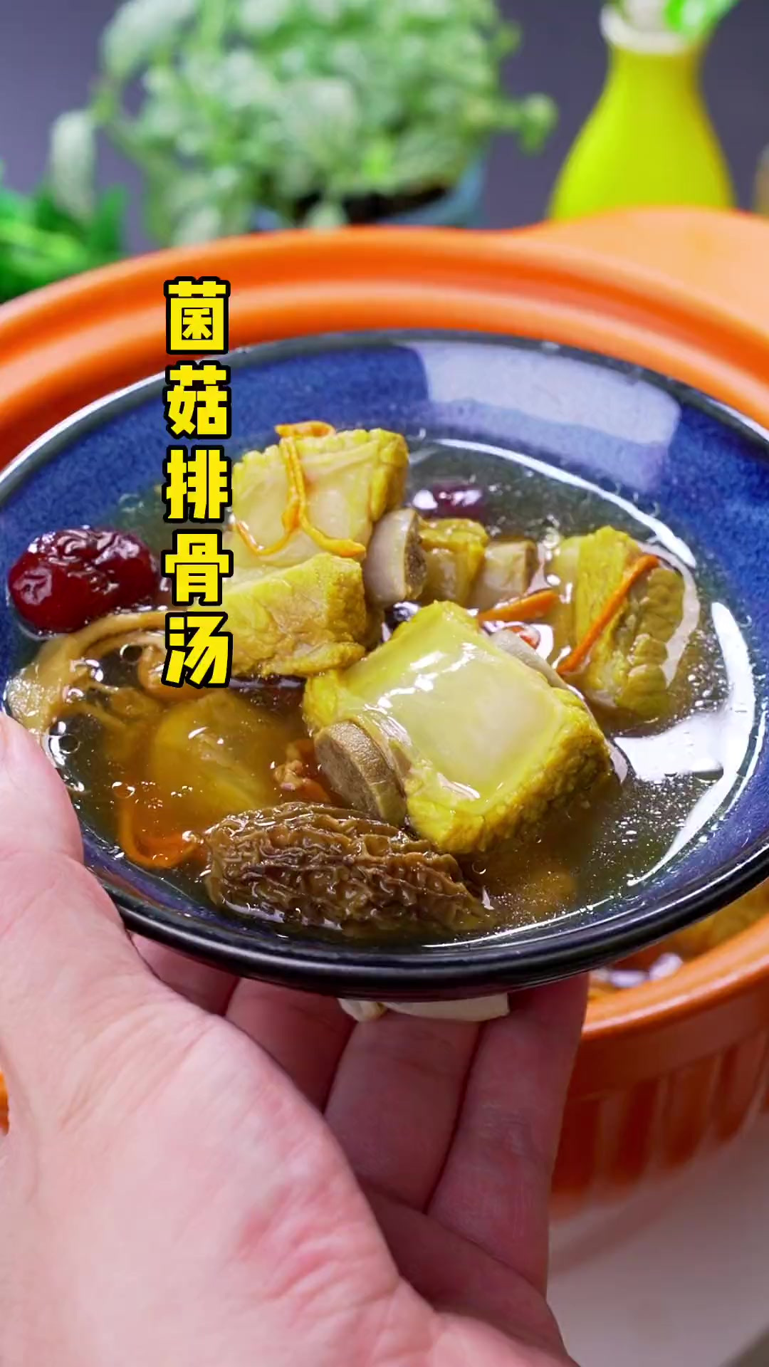 菌菇排骨汤 简单营养又好喝 适合这个季节的汤