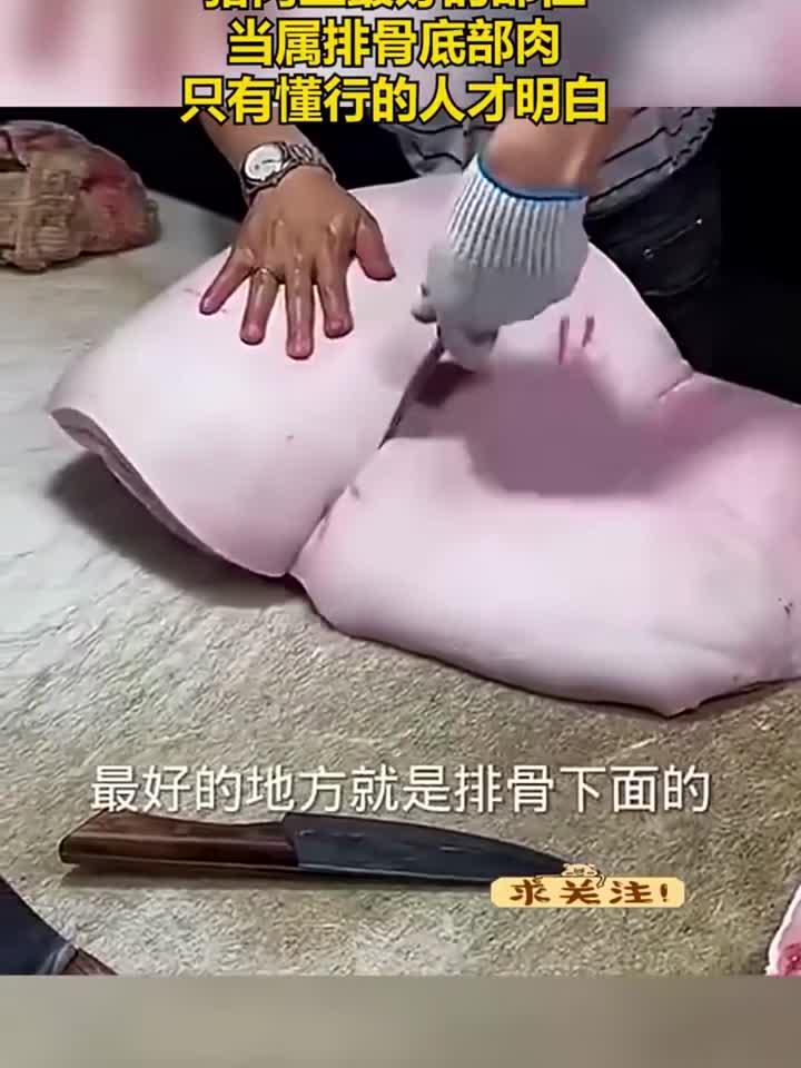 猪肉上最好的部位,当属排骨底部肉,只有懂行的人才明白
