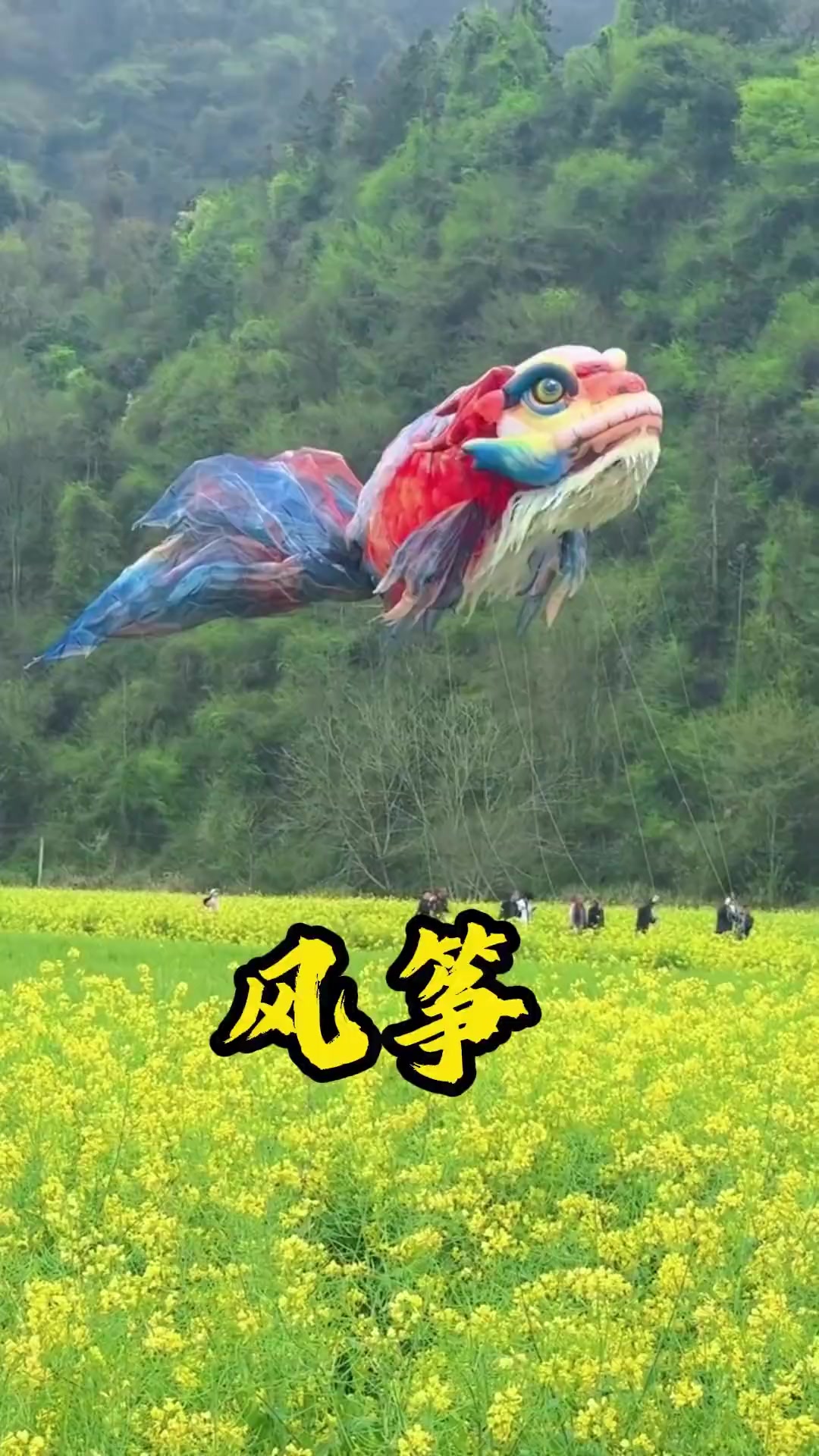 带你认识10种有趣的风筝