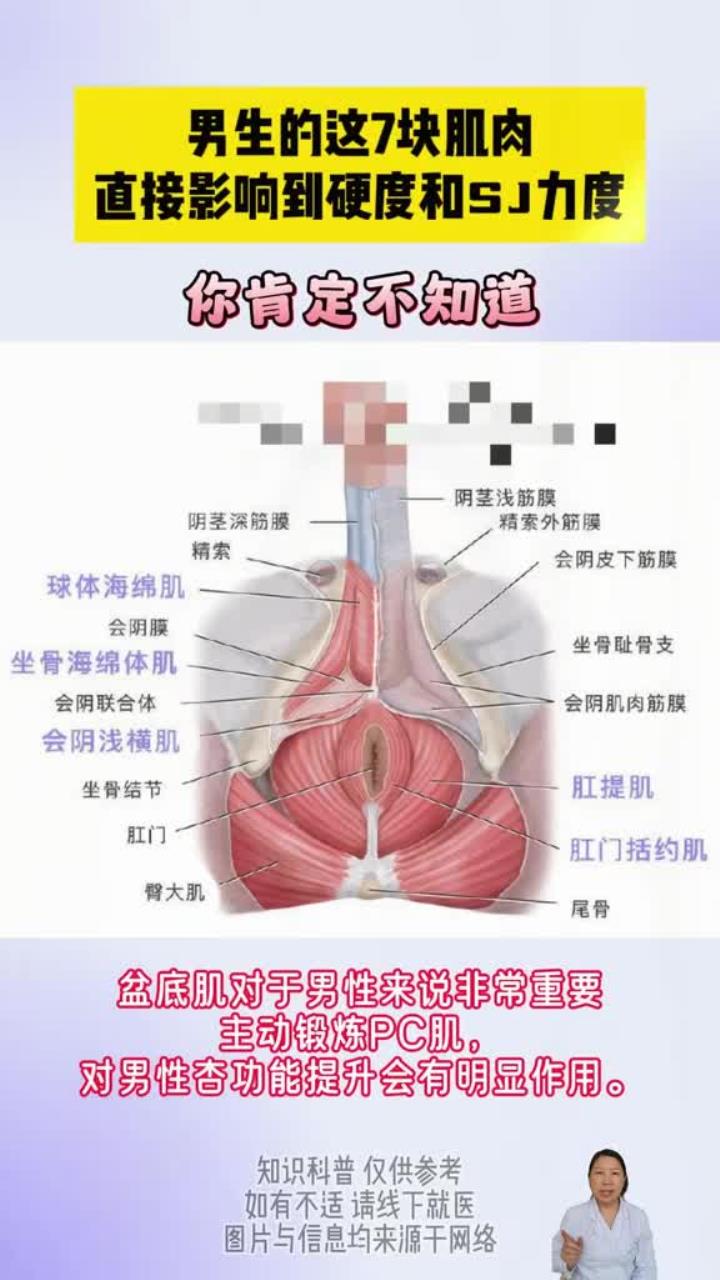 你知道男性哪些肌肉会影响硬度
