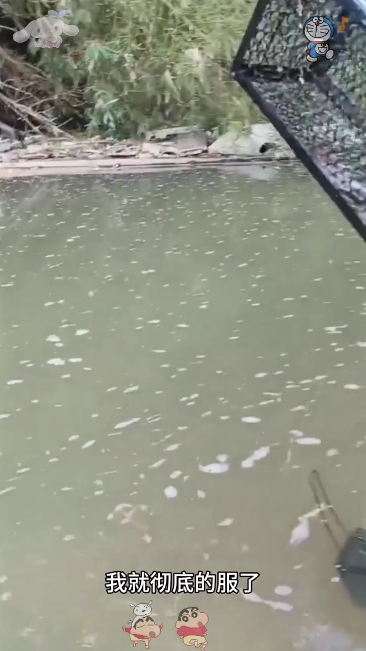  没想到这个工具还可以捕鱼的