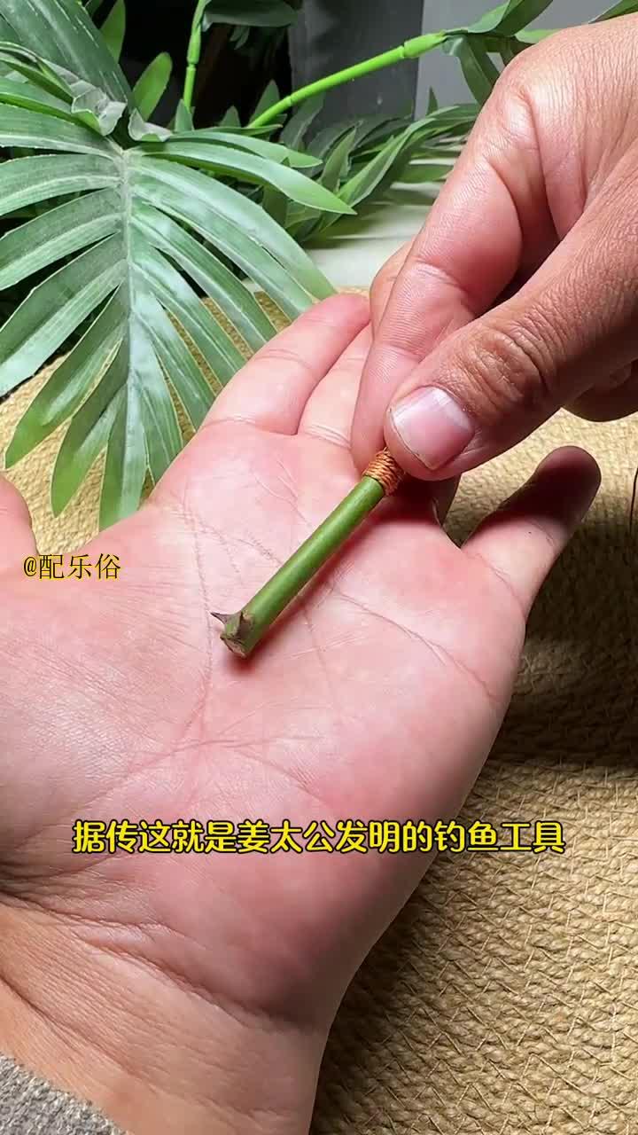 古人钓鱼智慧:实用技巧分享