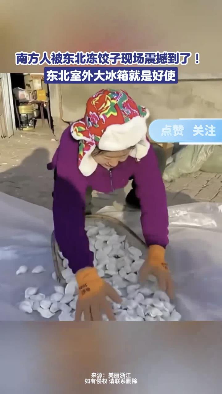 南方人被东北冻饺子现场震撼到了!东北室外大冰箱就是好使