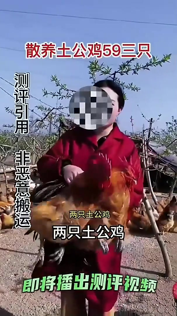 这三只的大公鸡你们敢吃吗