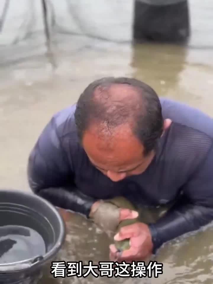 大鱼吃小鱼原来是真的