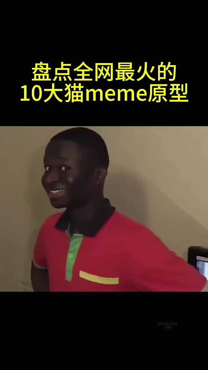 盘点全网最火的前20,猫meme表情包出处「大合集」