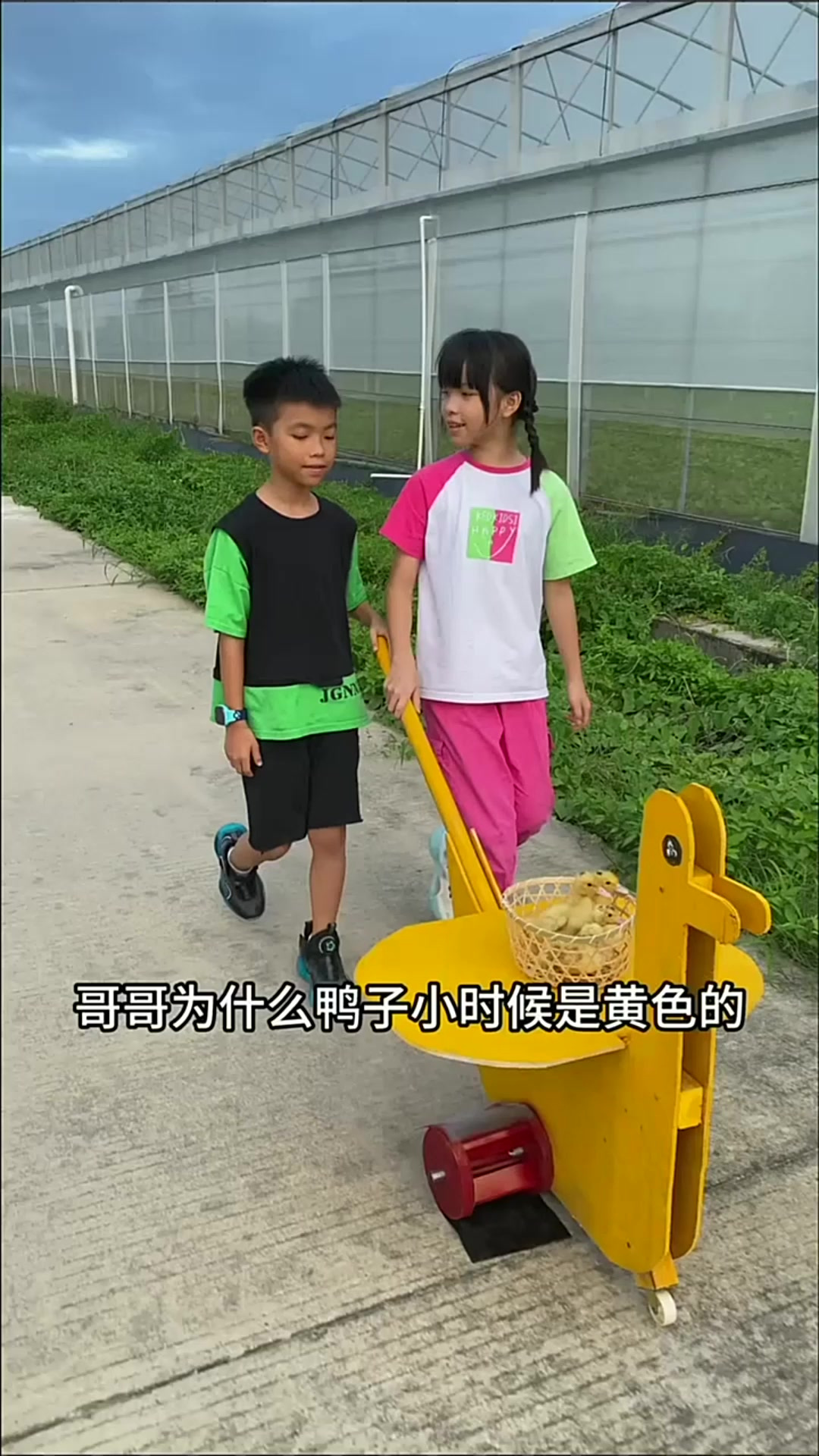 为什么鸭子小时候是黄色的，长大了会变成其他颜色的呢？
