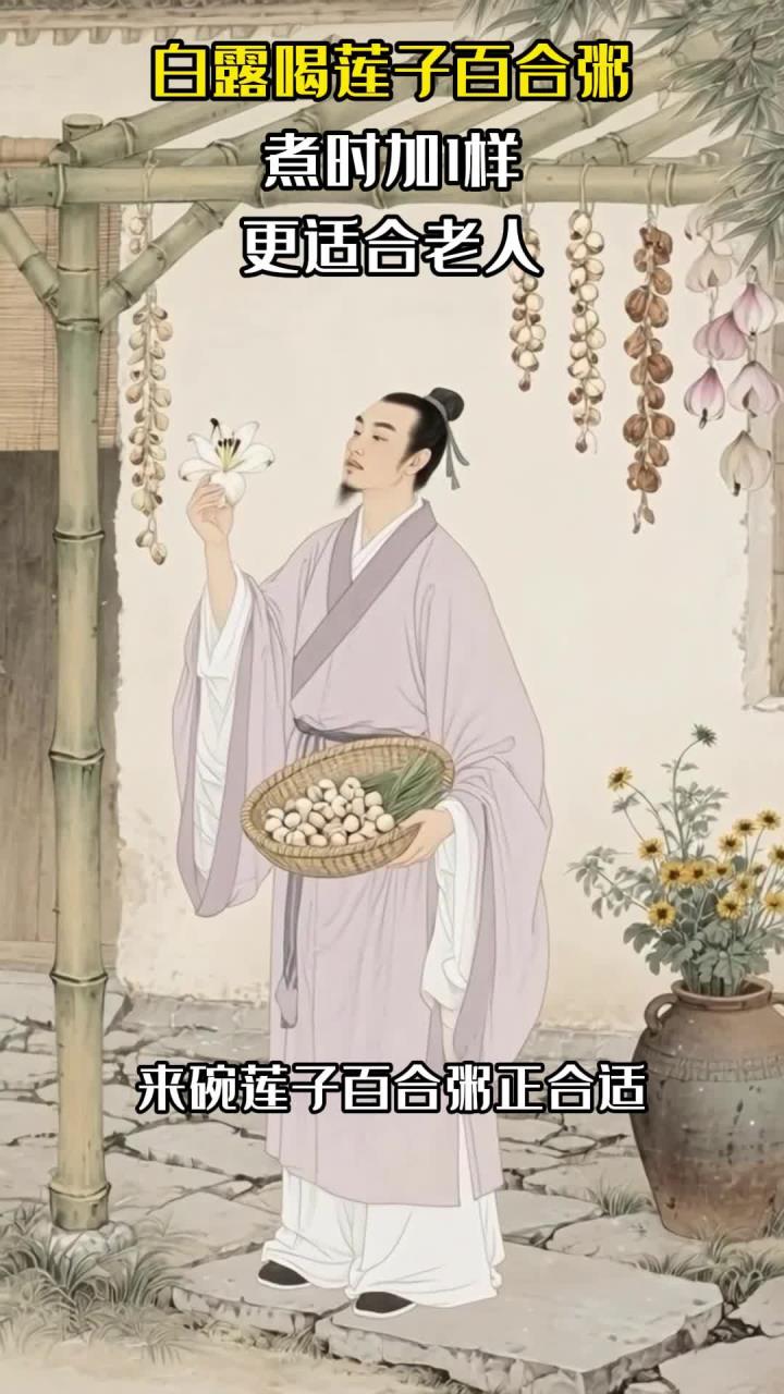 白露喝莲子百合粥,煮时加1样,更适合老人