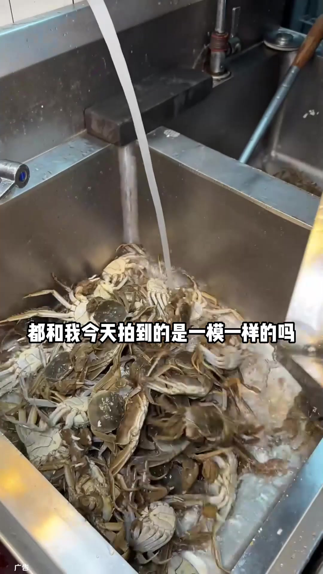 大悦城喜庭 海鲜自助餐100多不限量畅吃第9集