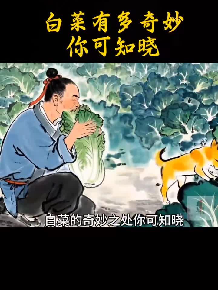 白菜煮水有多厉害？