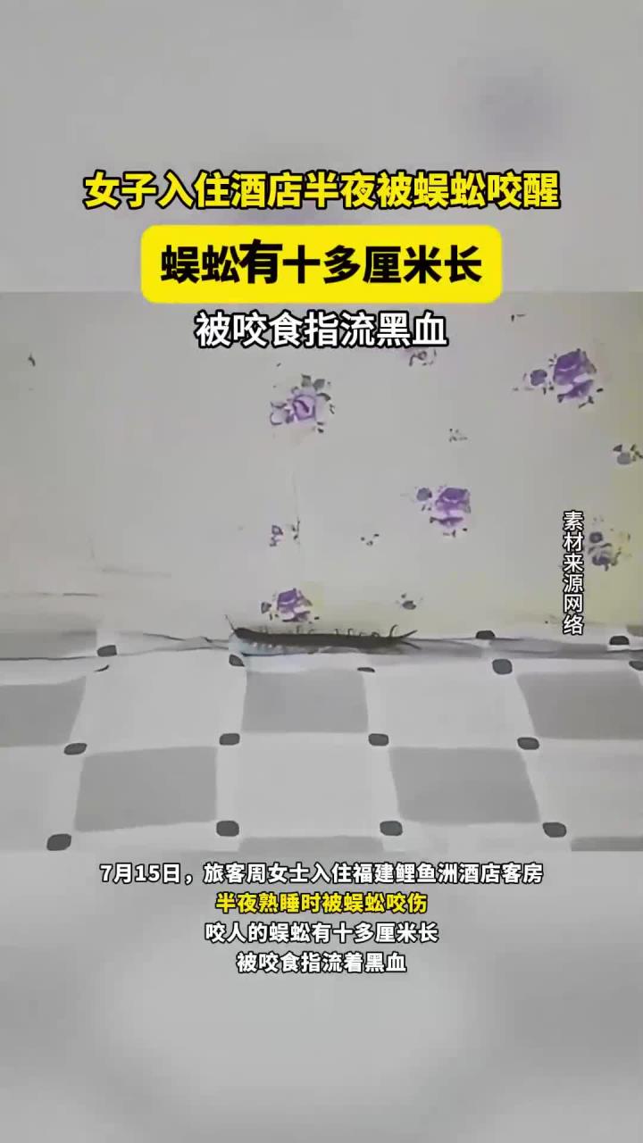 女子入住酒店半夜被蜈蚣咬醒