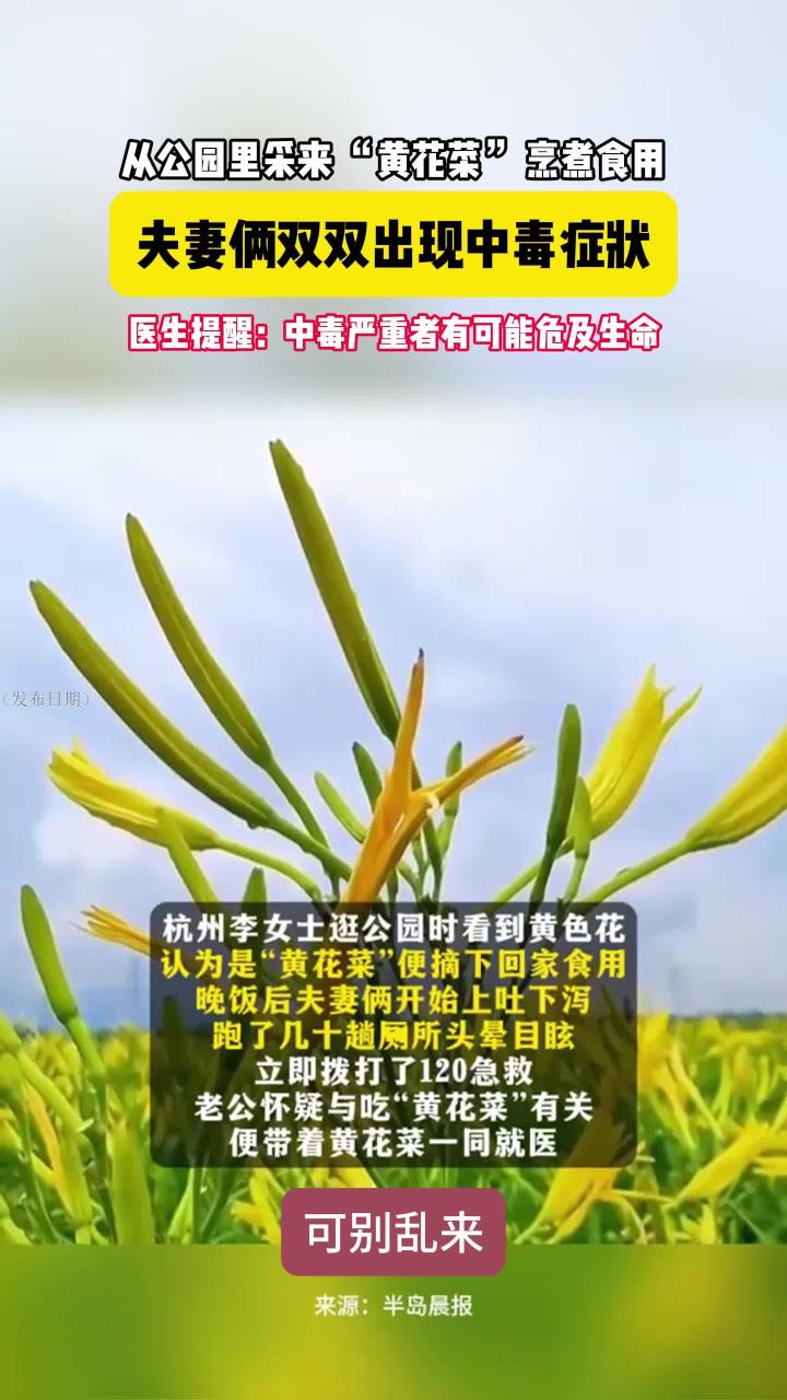《教育》公园里采黄花菜烹食夫妻双双被毒翻