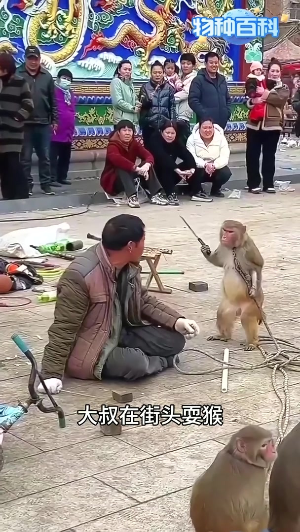 猴哥手拿菜刀要砍人