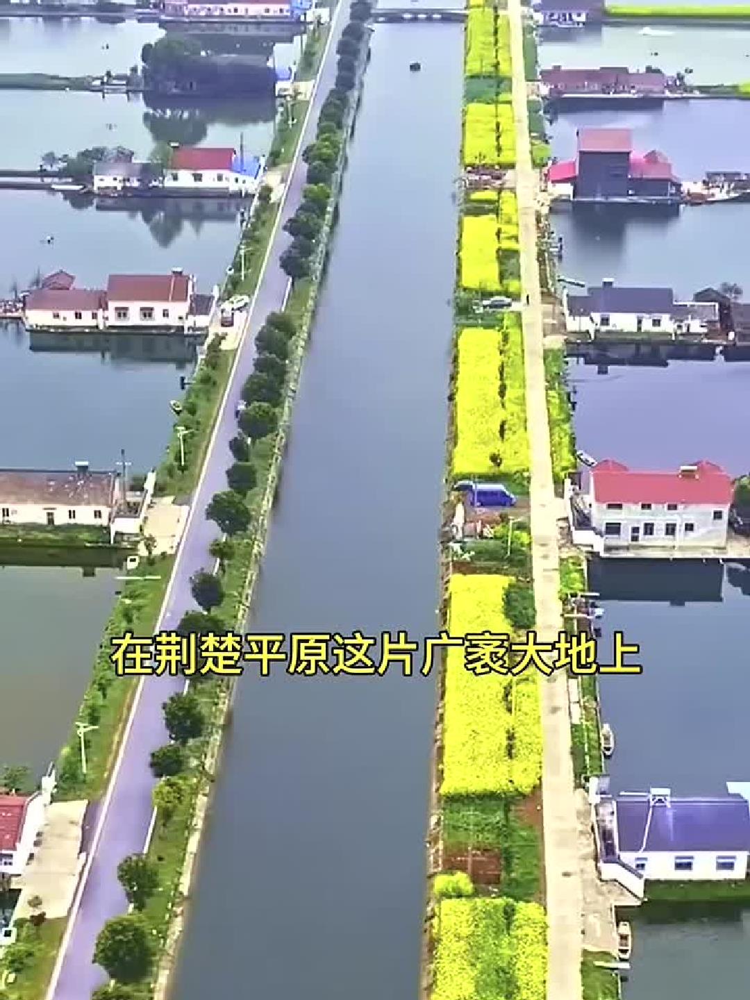真正的鱼米之乡 千湖之省 湖北江汉平原 值得一看
