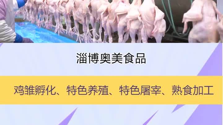 冷鲜三黄鸡加工厂,我们注重研发创新,不断推出新品,满足市场的