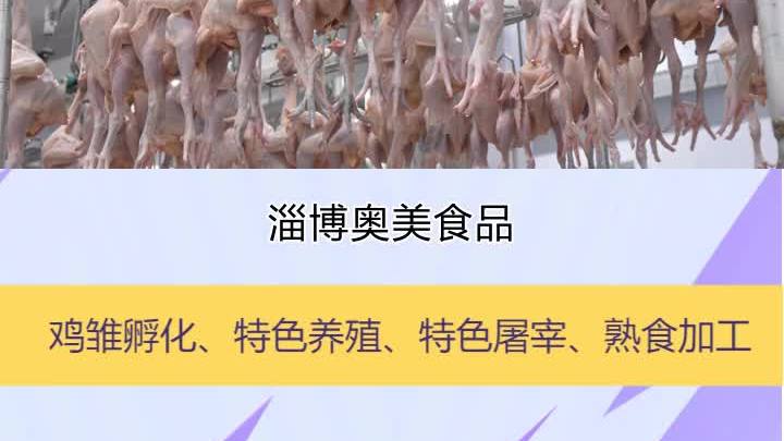 冷冻817三黄鸡生产厂家,在食品行业中独树一帜,淄博奥美致力